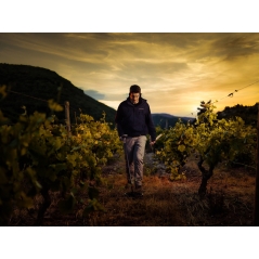 XP DEUS II  FMF  RC WSA STEREO